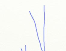 Come disegnare un albero di betulla con le matite colorate passo dopo passo