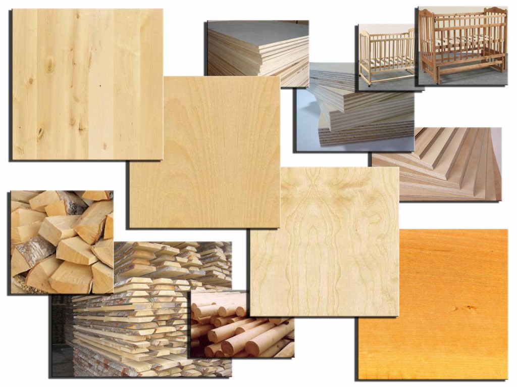 Properties of birch wood