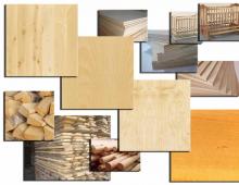 Properties of birch wood