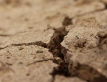 Poprawa składu gleby na terenie Oznaki i przyczyny zmęczenia gleby